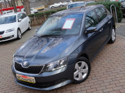 Fabia 95 PS Clever Sitzheizung Bluetooth Alus